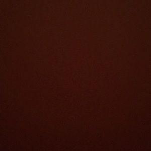 Meet your Posher, Kynzleigh